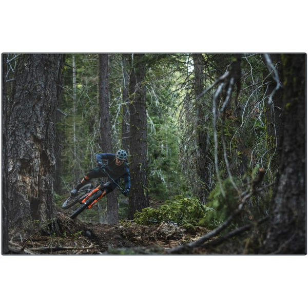 Mountain Biking Metal Prints - Tahoe Forest