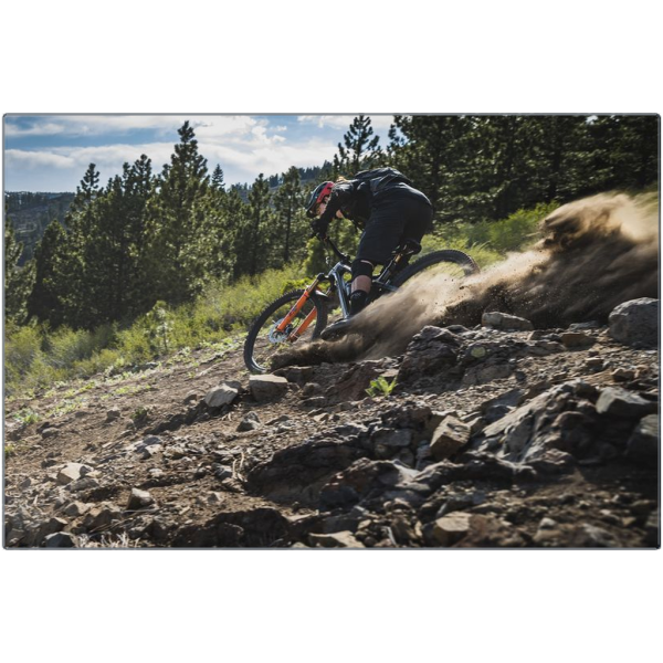 Mountain Biking Metal Prints - Tahoe Roost