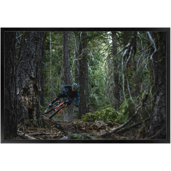 Framed Enduro Mountain Biking Print - Tahoe Forest - Image 3