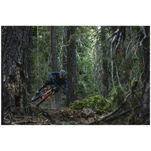 Enduro Mountain Biking Poster - Tahoe Forest - Image 2