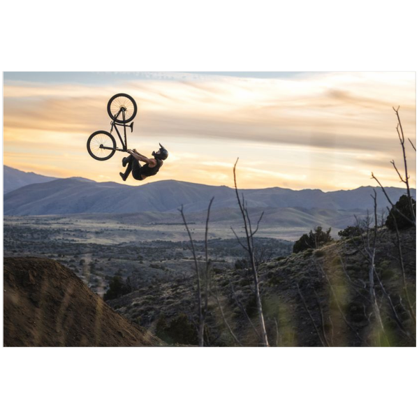 Freeride Mountain Biking Poster - Flipwhip - Image 2