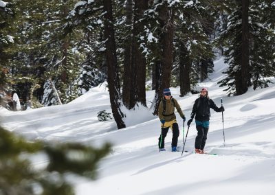 Two people cross country skiing in beautiful forest setting.