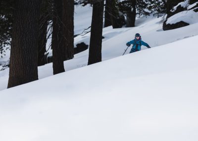 Person in blue jacket skiing in un touched powder field with trees in background.