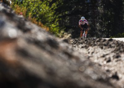 Male road cyclist climbing with hillside in foreground blurred.