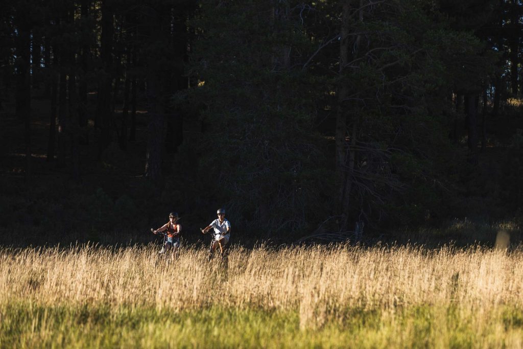  fat tire electric bike photography showing stability and performance on mixed terrain