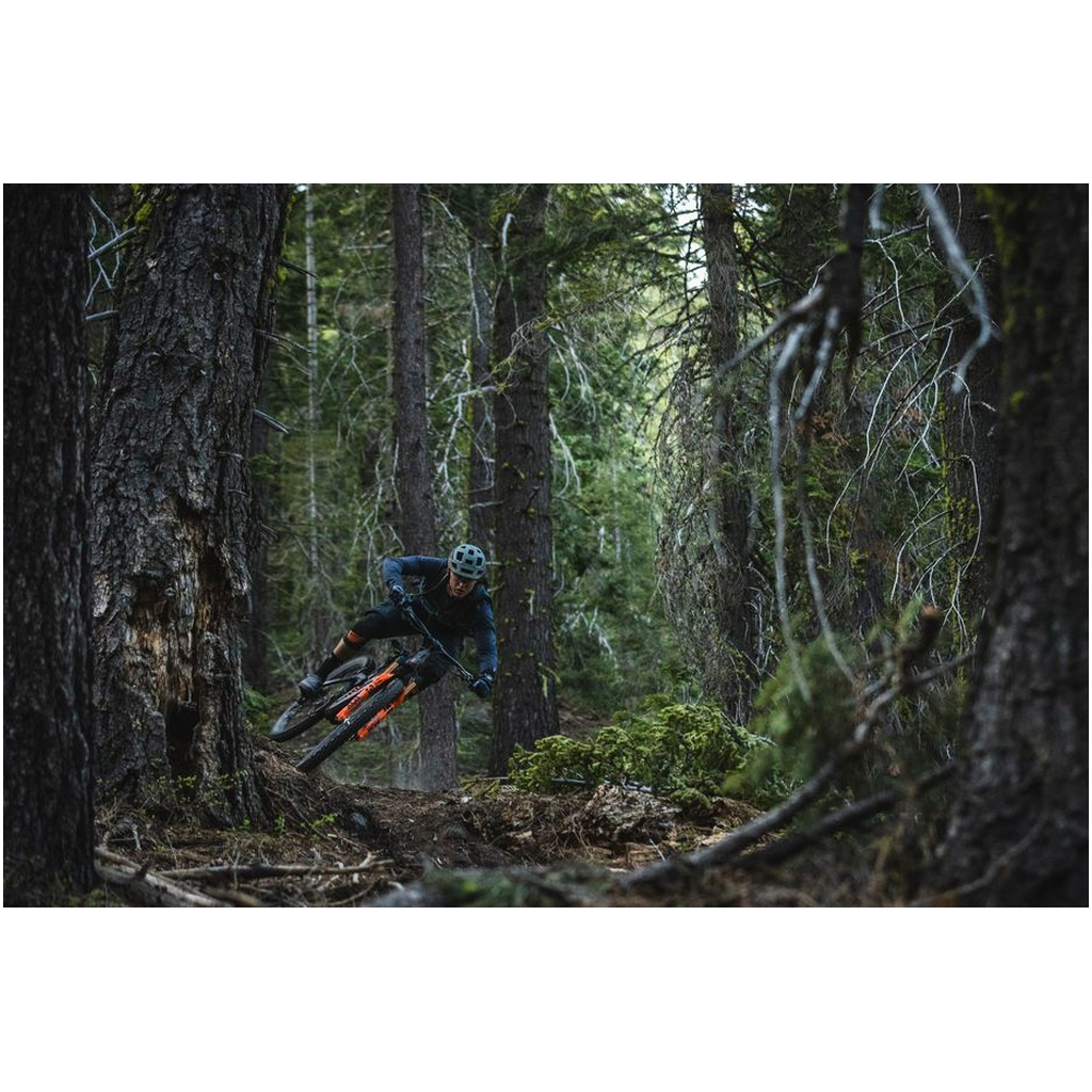 Lake Tahoe Mountain Bike Poster - Marco Osborne Forest Ride - Image 2