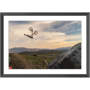 framed freeride mountain bike print